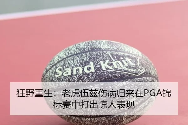 kuang-ye-chong-sheng-lao-hu-wu-zi-shang-bing-gui-lai-zai-jin-biao-sai-zhong-da-chu-jing-ren-biao-xian-2-225.jpg